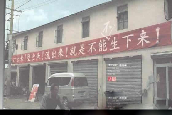 反对者的心声