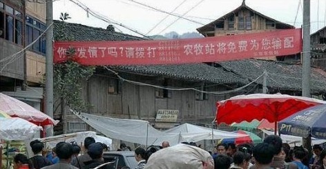 关键那棵树挡的恰到好处