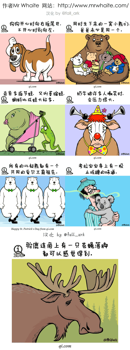 【动物冷知识合集】哈哈哈~好有喜感！！......＊（转）2