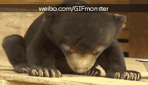 各种秒睡君......＊（转）5