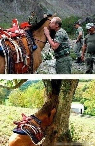 普京，你都说了些什么呀