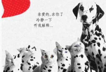 听我解释，亲爱的