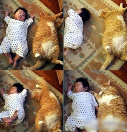 主人怎么睡，我就怎么睡