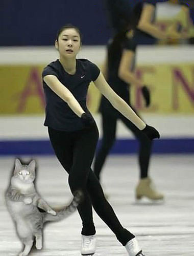 小猫咪也会模仿秀
