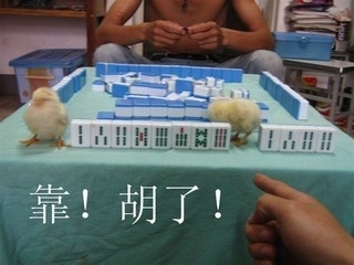这个也算胡牌了？好扯哟
