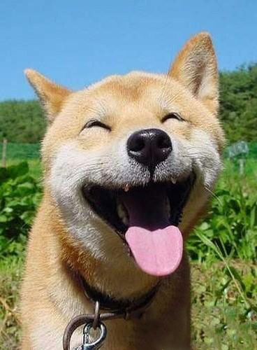偶真的很开心