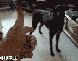 人生如戏，全靠演计
