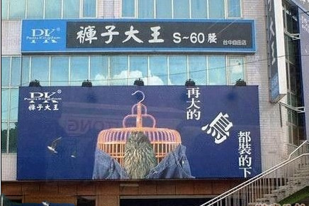 再大的鸟都装得下