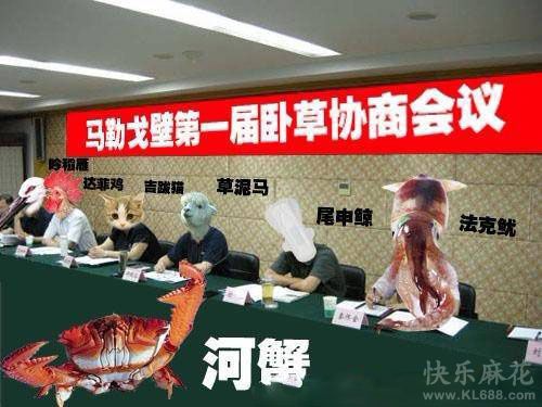 传说中的动物英雄大会