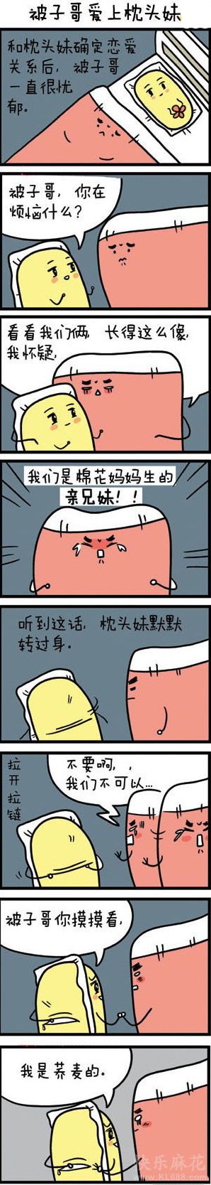 被子哥爱上了枕头妹