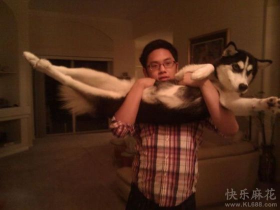 这个舞伴不赖嘛