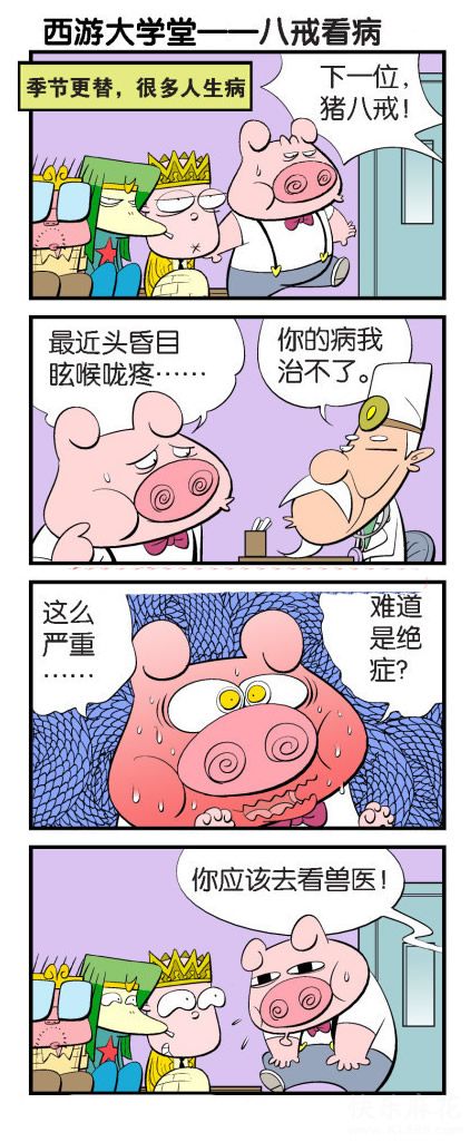 八戒看病