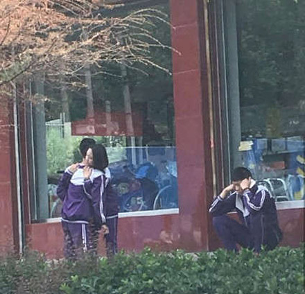 悲伤的单身dog
