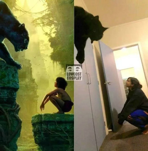 我就说吧，猫咪是个可怕的动物，和黑豹一样可怕
