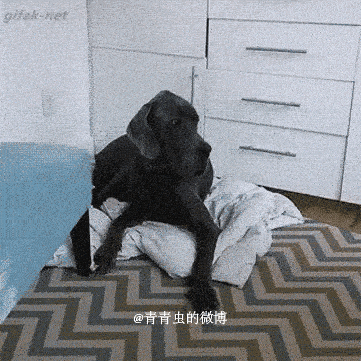 起来滚，这是我的地儿！