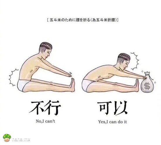 待会试试