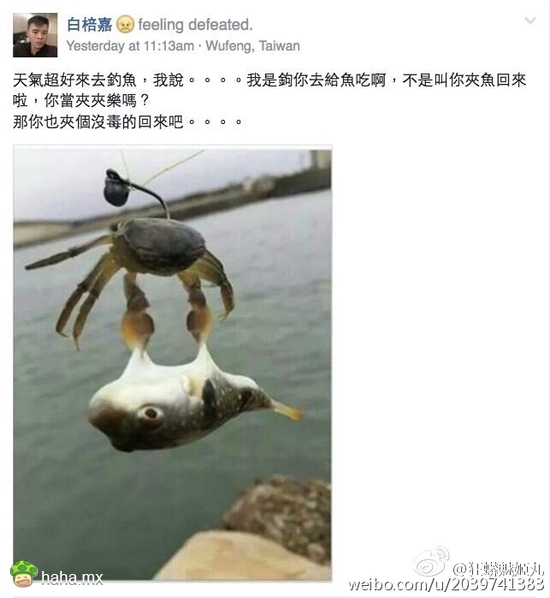 河豚：你特么放开宝宝