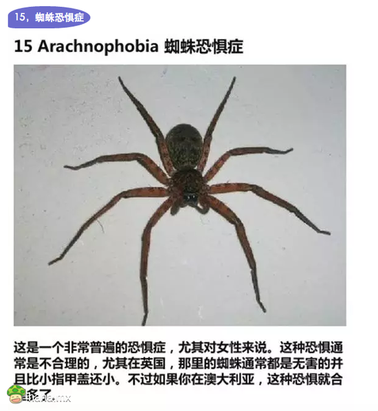 19种常见恐惧症，你中枪了吗？