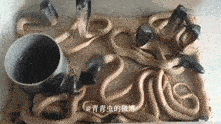 性格从某种程度上是天生的。。。比如眼镜蛇宝宝们天生就脾气不好