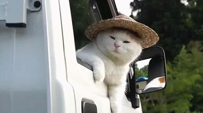 我美不美