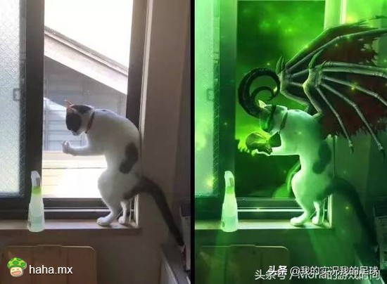 你们这是自寻死路！