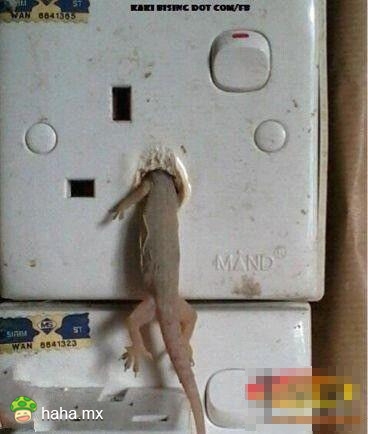 悲伤的故事