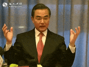 我们的王外长简直是教科书一般的霸气，而且时不时还会萌你一脸血