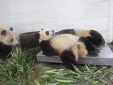 不是...大哥你听我解释...不是你想象的那样！