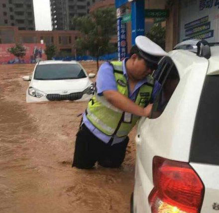 来来来，行驶车，驾照拿出来我看看