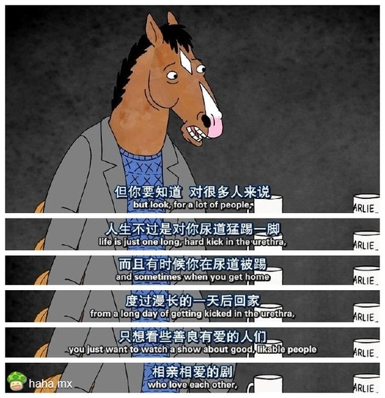 这个是我的新宠——马男波杰克