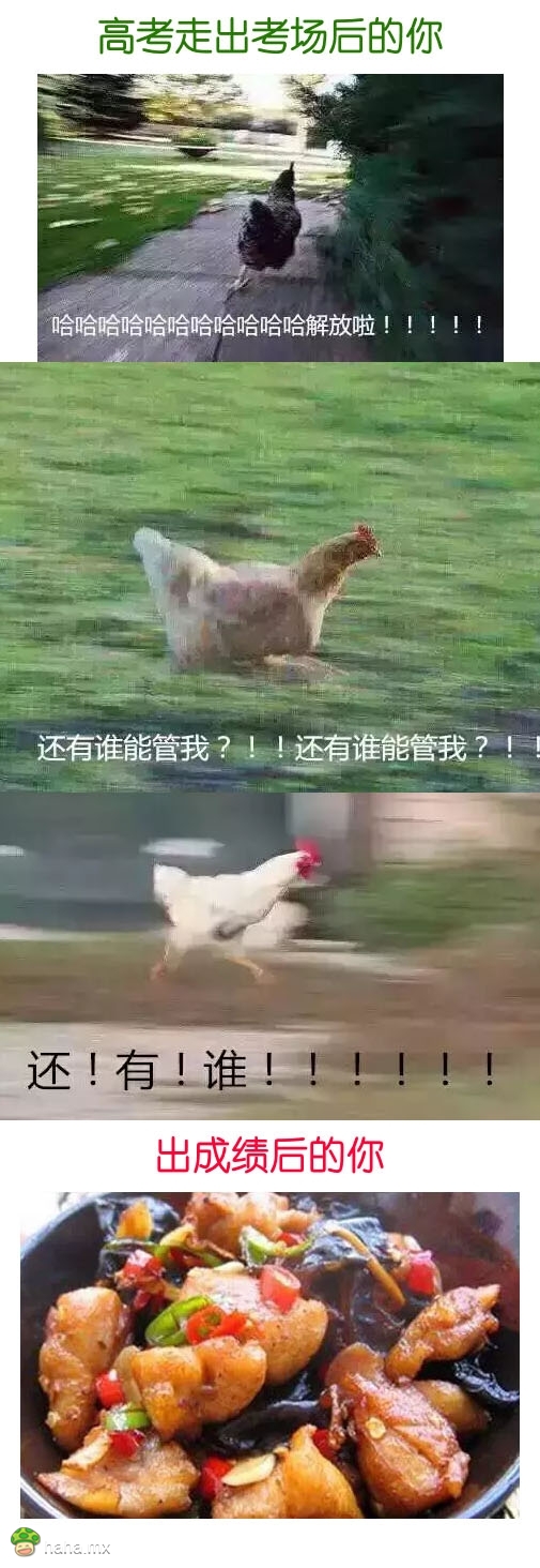 高考完后你的VS出成绩后的你