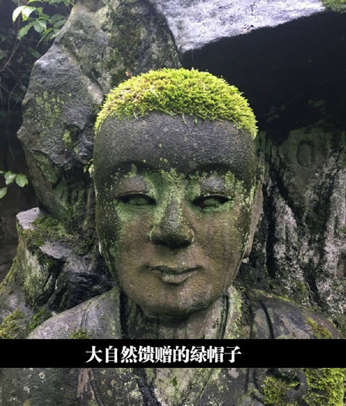 神奇的大自然，啥都懂